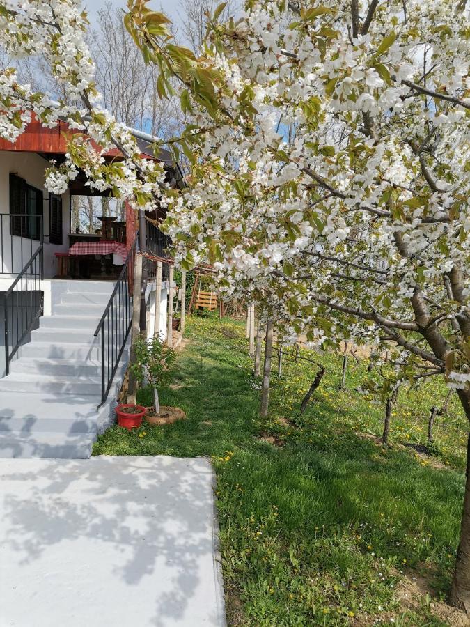 Villa Marijana 바라즈딘스케 토플리체 외부 사진