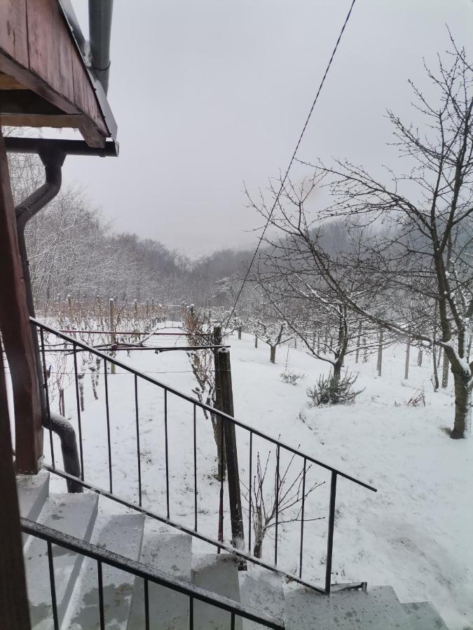 Villa Marijana 바라즈딘스케 토플리체 외부 사진