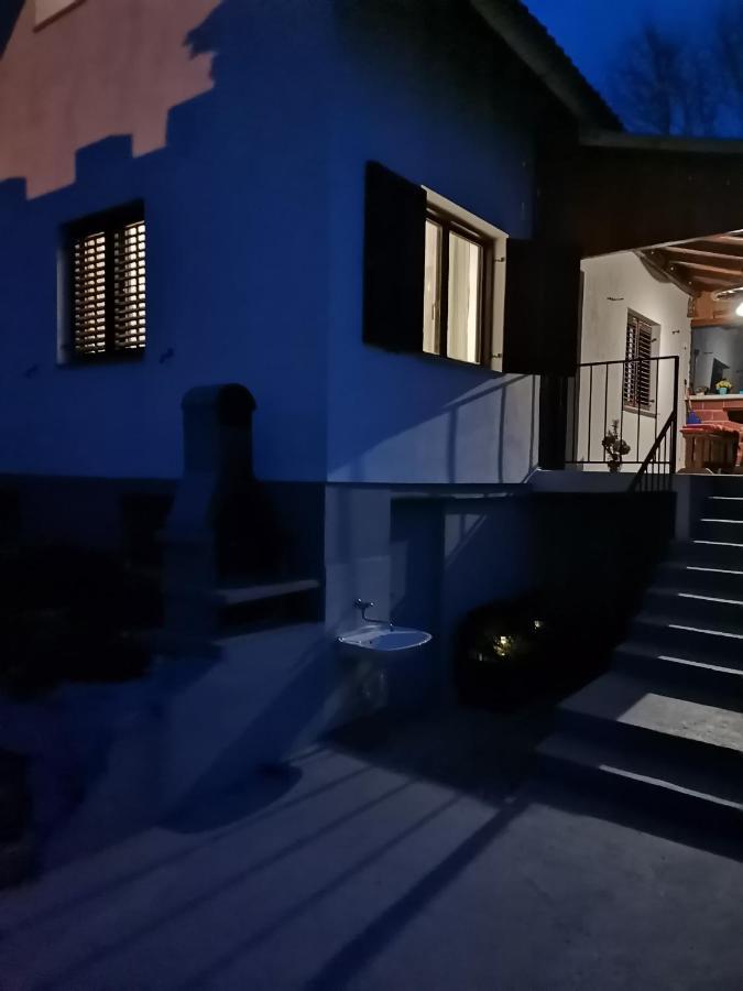 Villa Marijana 바라즈딘스케 토플리체 외부 사진