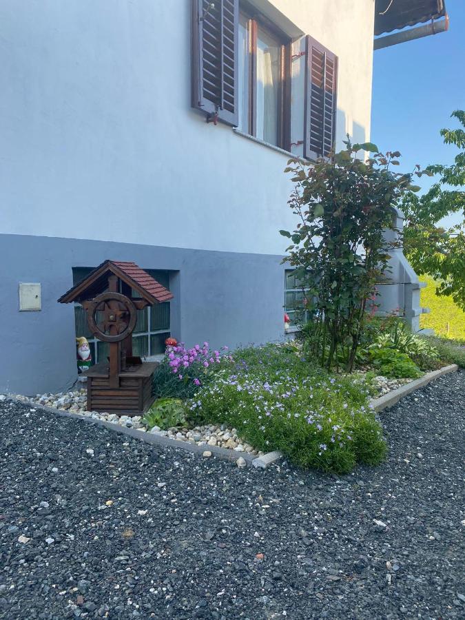 Villa Marijana 바라즈딘스케 토플리체 외부 사진